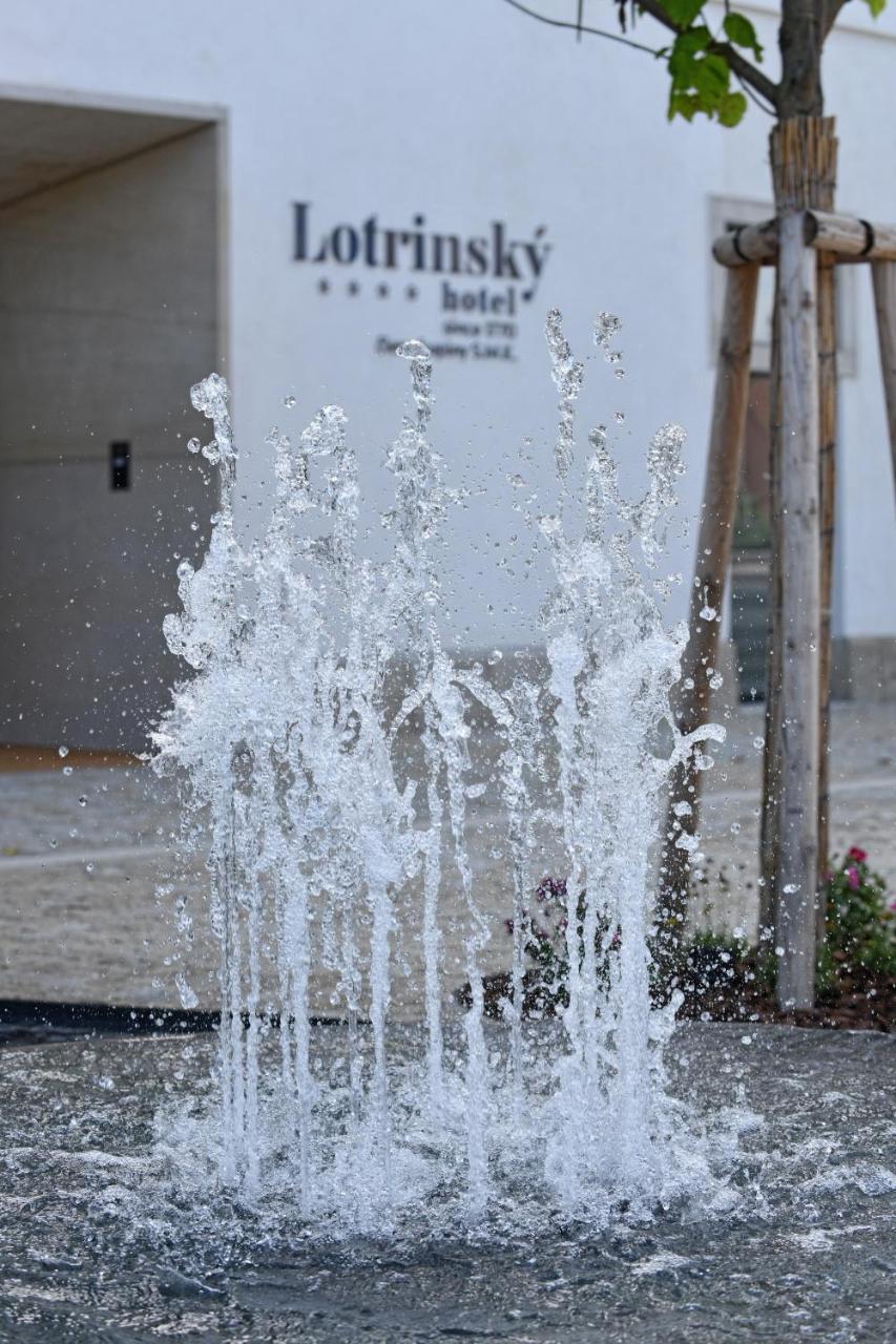Lotrinsky Hotel เวลเค ปาโบลวิตเซ ภายนอก รูปภาพ